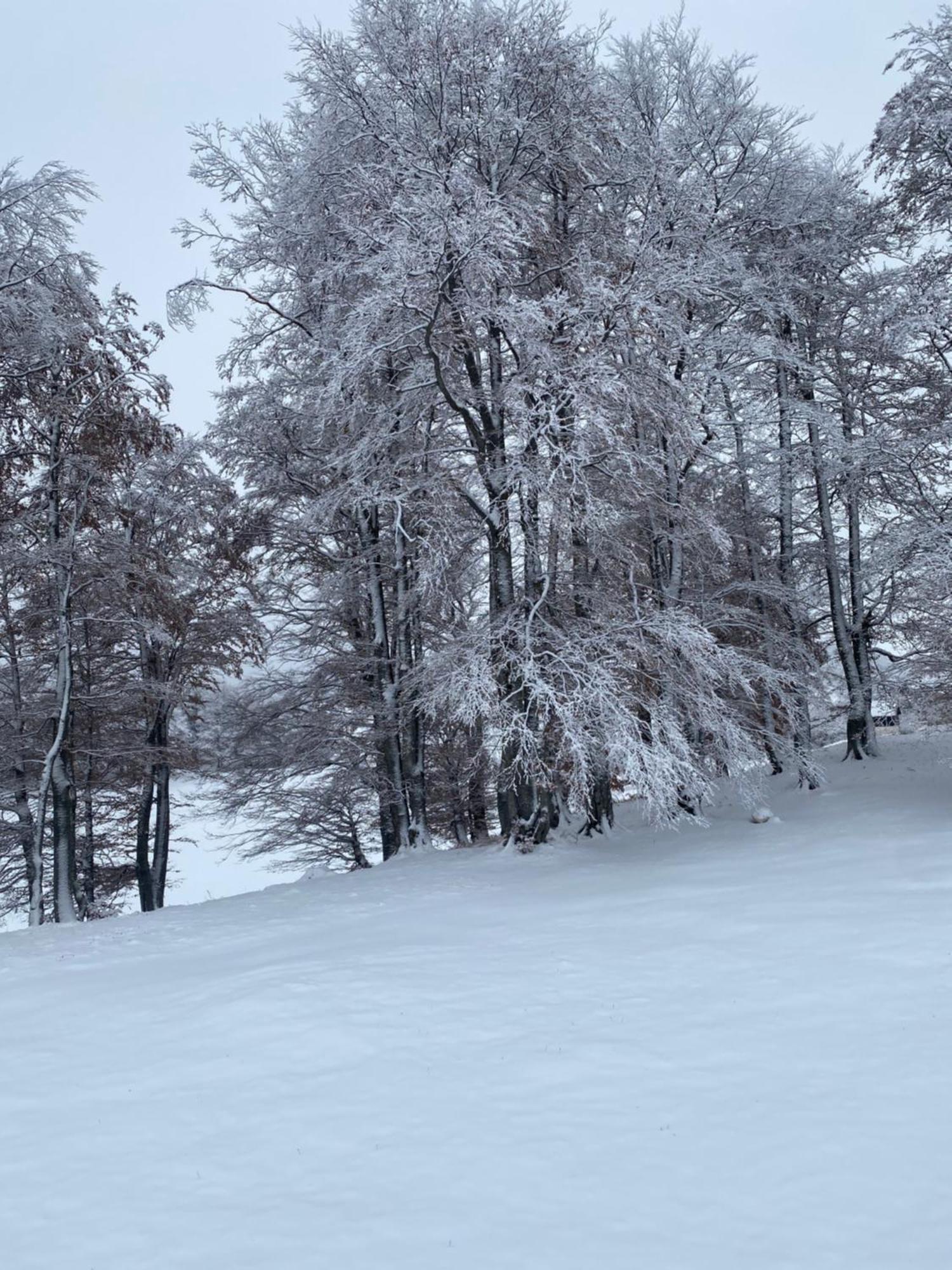 Vikendica Aleksandra Žabljak Exteriör bild